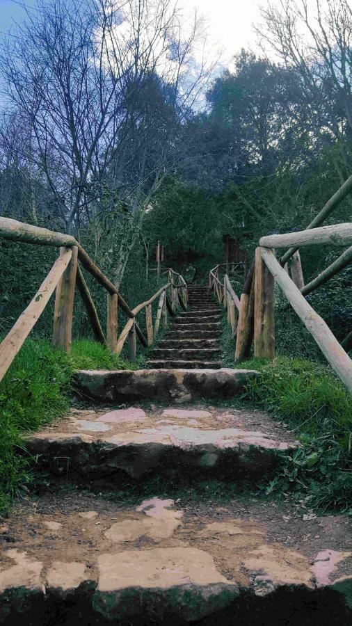 Casa Rural La Ossa Осса-де-Монтьель Экстерьер фото